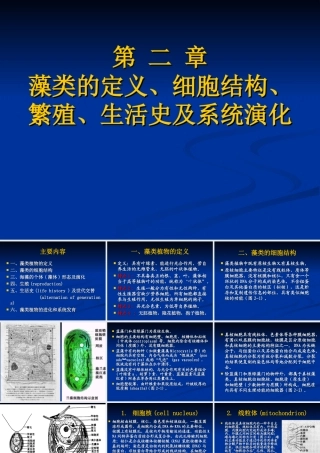 第二章-藻类的定义、细胞结构、繁殖、生活史及系统演化