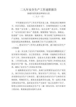 二九年安全生产工作述职报告
