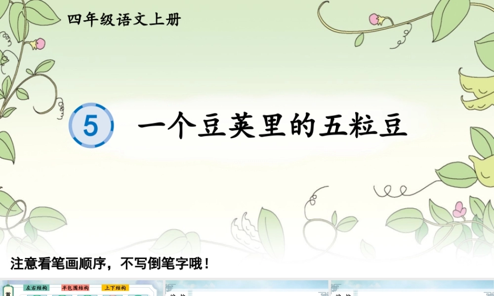 24统编版小学语文四年级上册生字笔顺课件-5 一个豆荚里的五粒豆