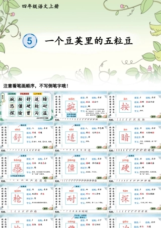 24统编版小学语文四年级上册生字笔顺课件-5 一个豆荚里的五粒豆