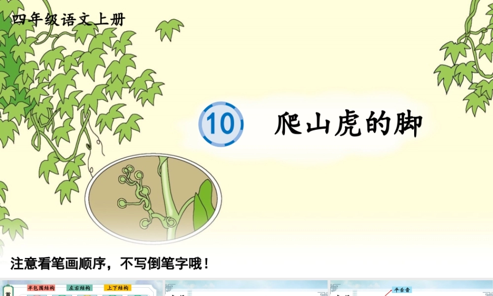 24统编版小学语文四年级上册生字笔顺课件-10 爬山虎的脚