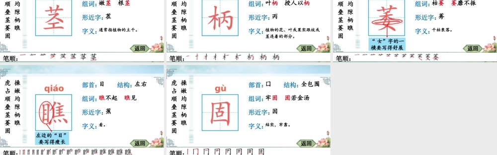 24统编版小学语文四年级上册生字笔顺课件-10 爬山虎的脚