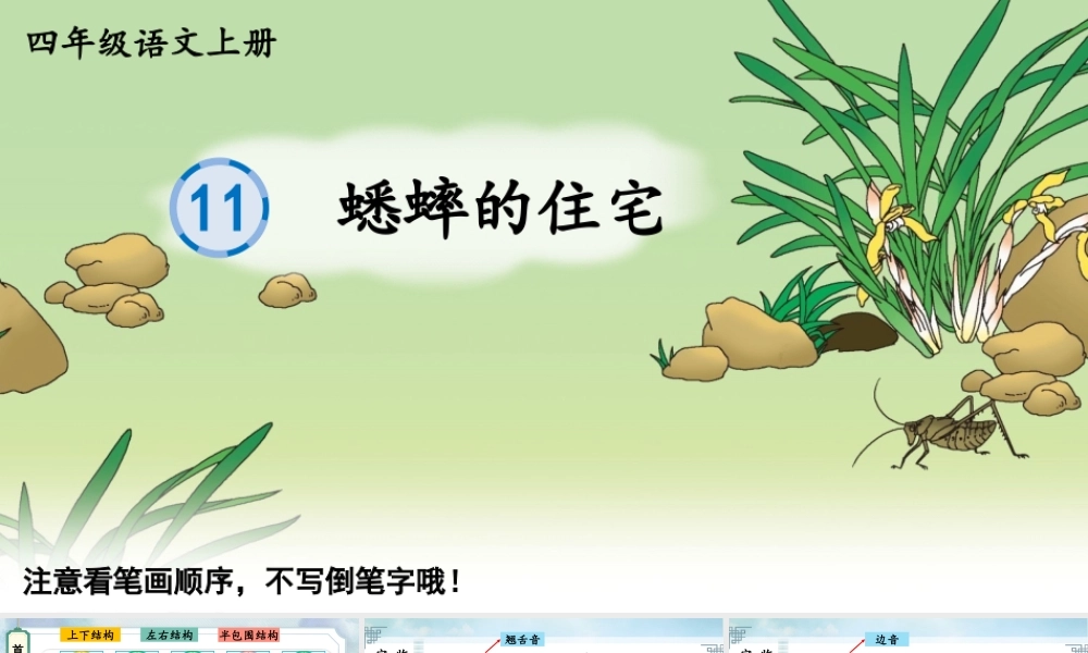 24统编版小学语文四年级上册生字笔顺课件-11 蟋蟀的住宅