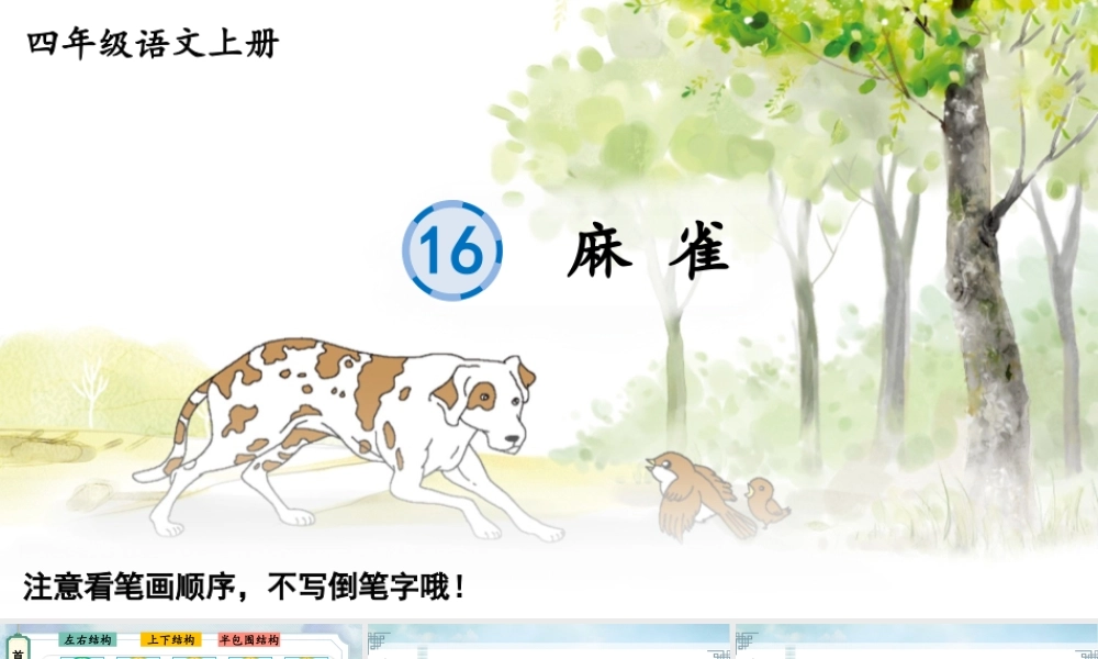 24统编版小学语文四年级上册生字笔顺课件-16 麻雀