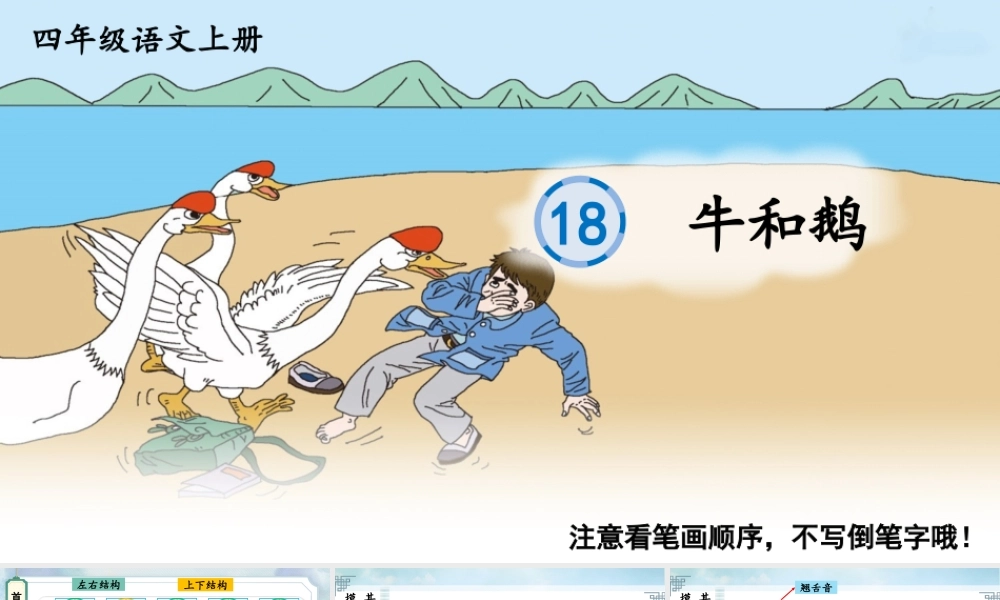 24统编版小学语文四年级上册生字笔顺课件-18 牛和鹅