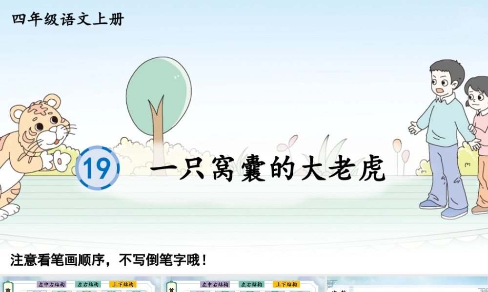 24统编版小学语文四年级上册生字笔顺课件-19 一只窝囊的大老虎