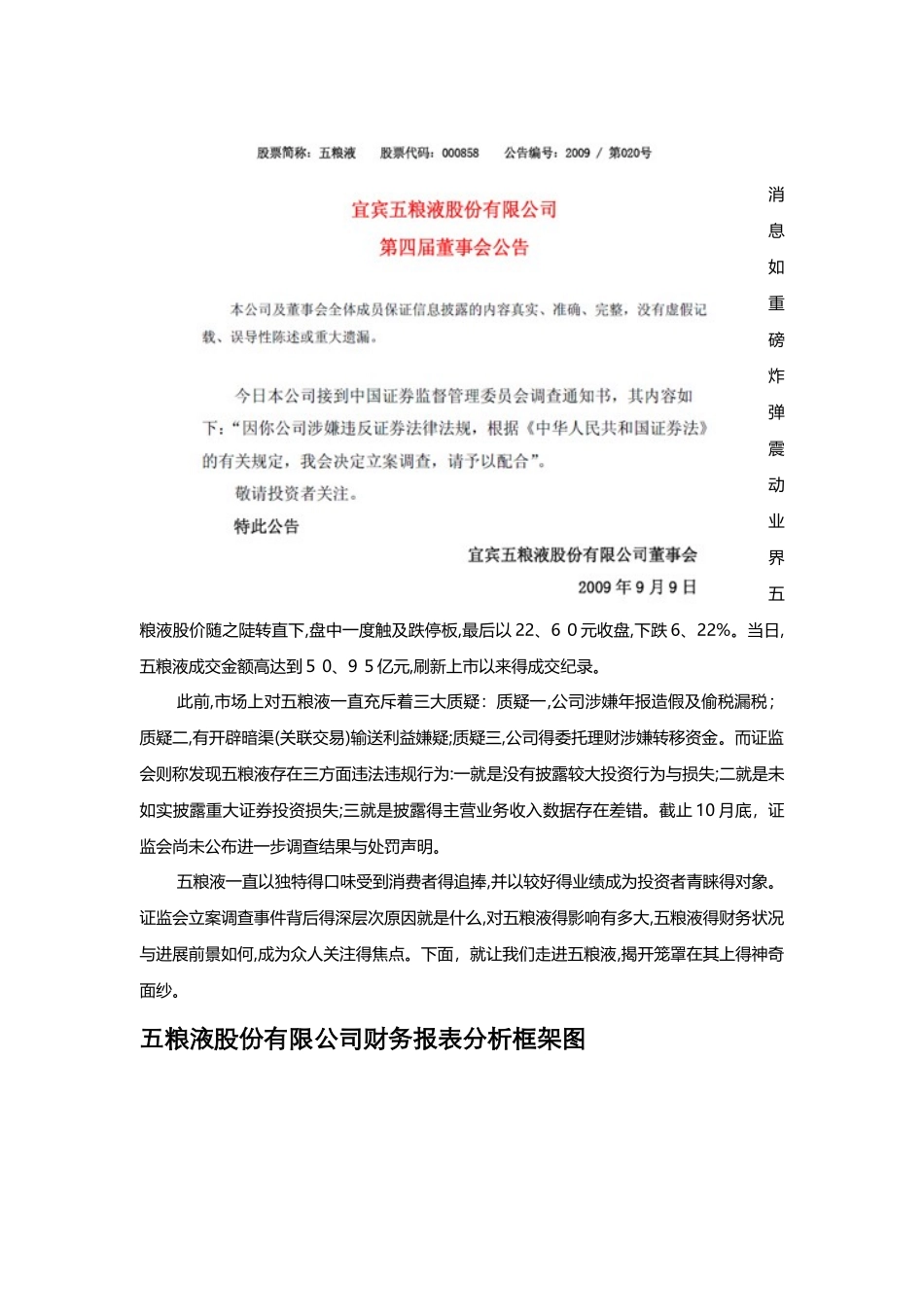 五粮液分析报告_第2页