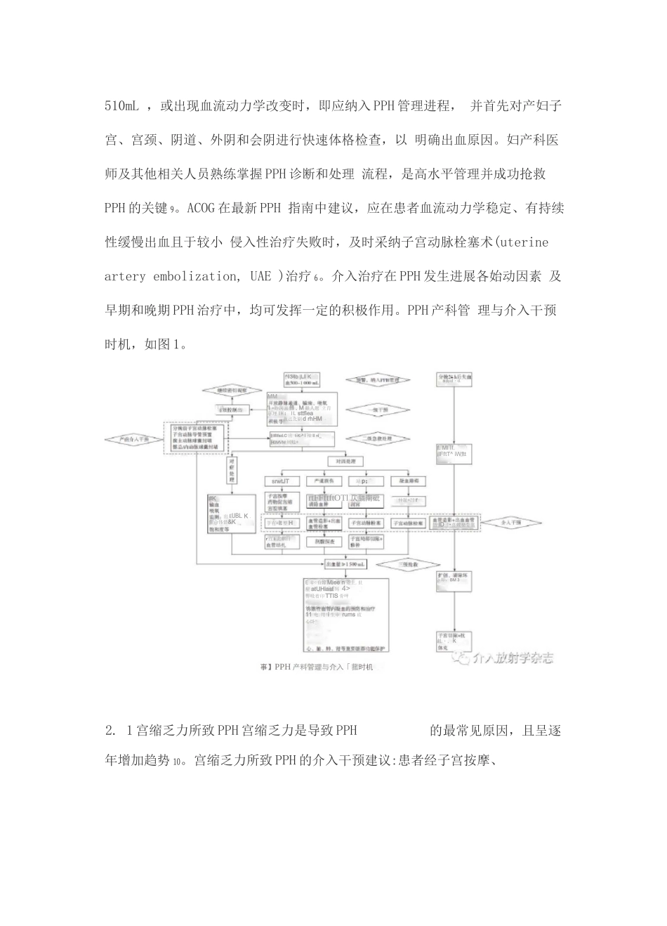 产后出血管理与介入干预策略_第2页