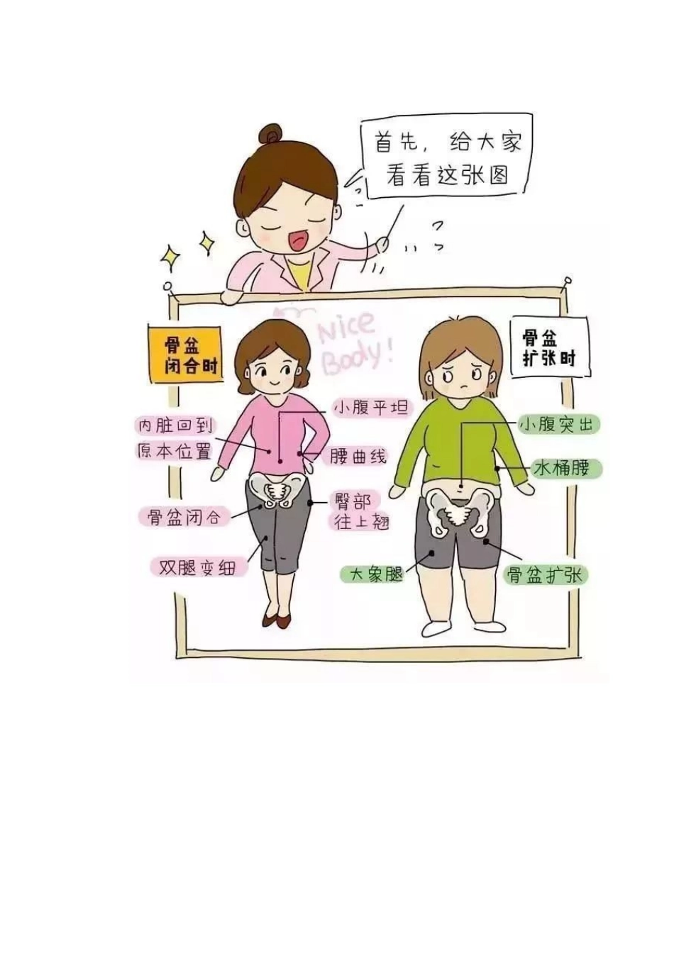 产后骨盆盆底肌腹直肌康复详解彩图详解_第2页