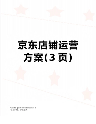 京东店铺运营方案