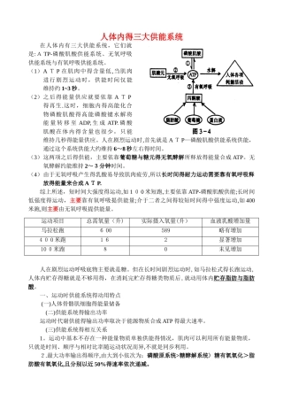 人体三大供能系统