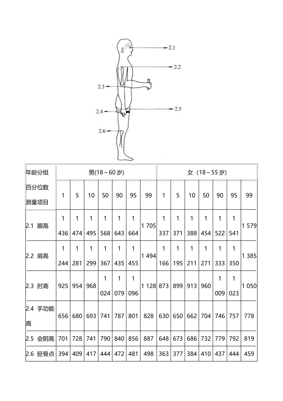 人体主要尺寸_第3页