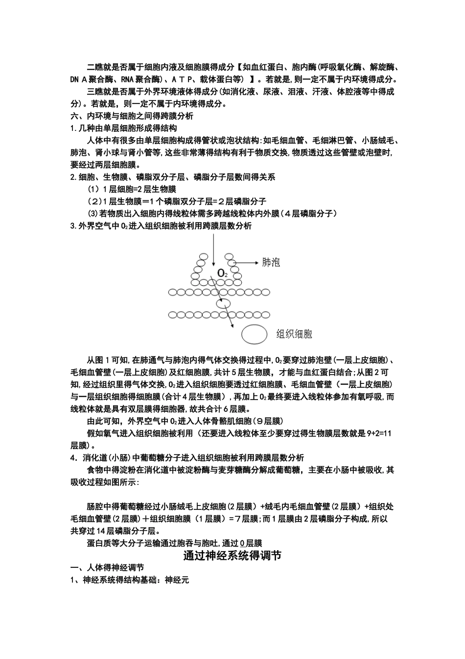 人体内环境的稳态与调节_第3页