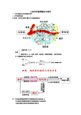 人体内环境的稳态与调节