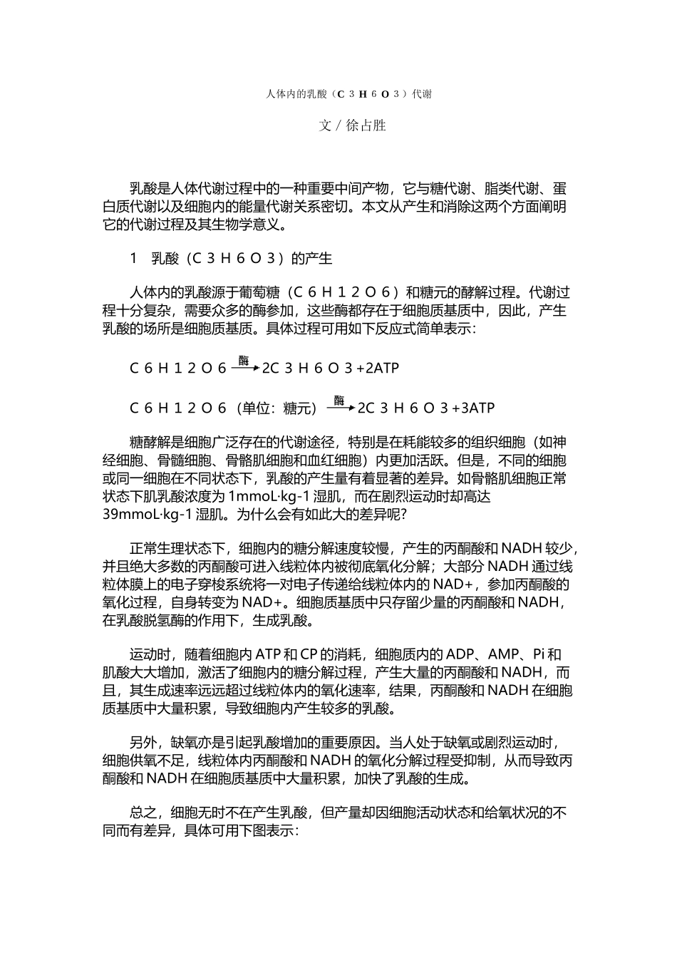 人体内的乳酸代谢_第2页