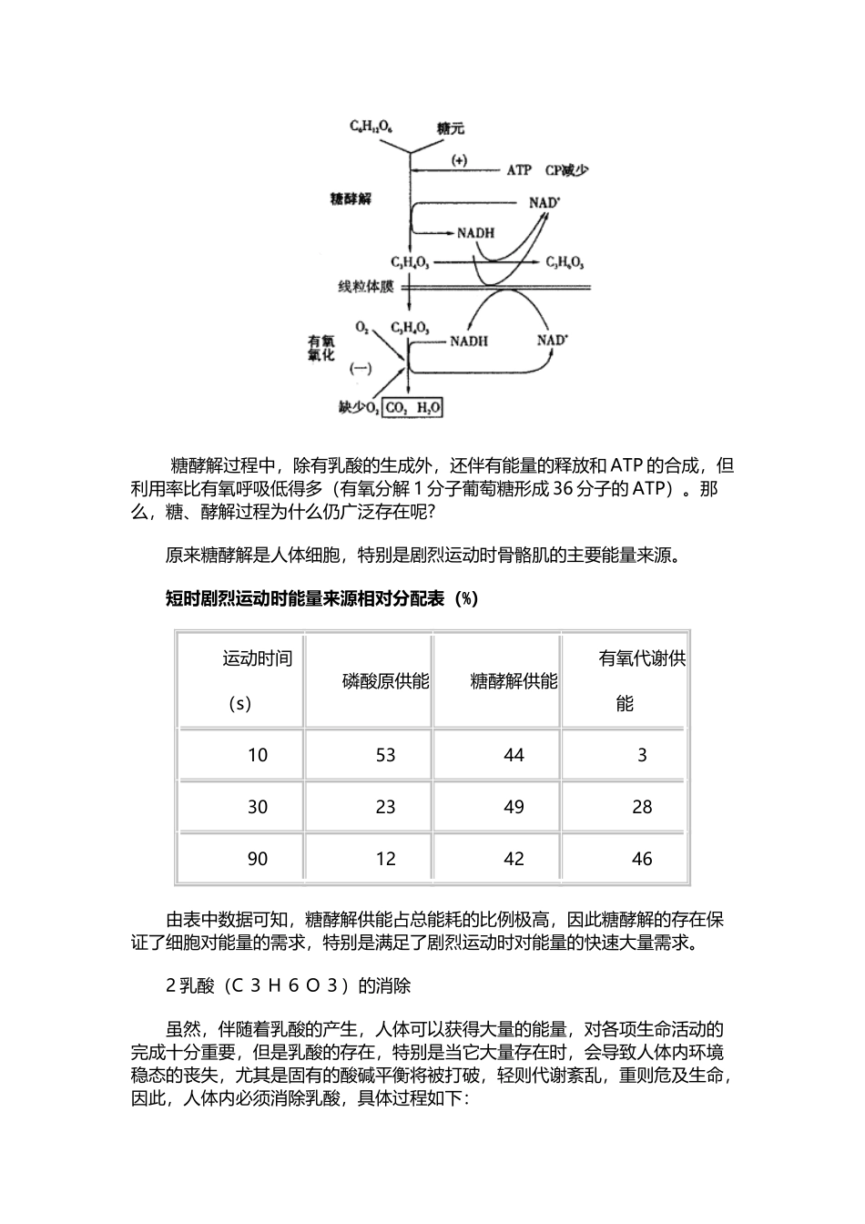 人体内的乳酸代谢_第3页