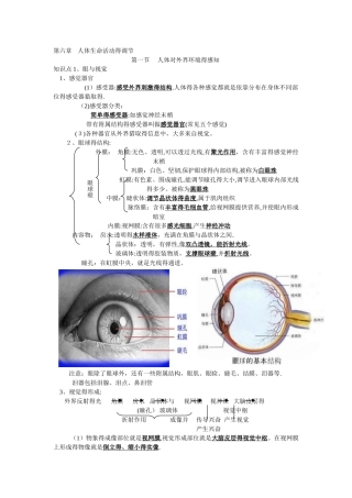 人体生命活动的调节知识点提纲