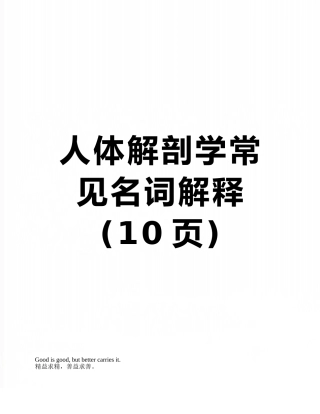 人体解剖学常见名词解释