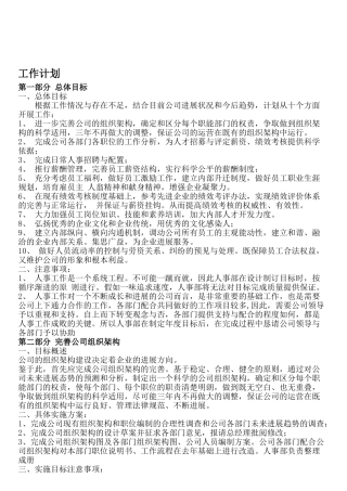 人力资源总监工作规划