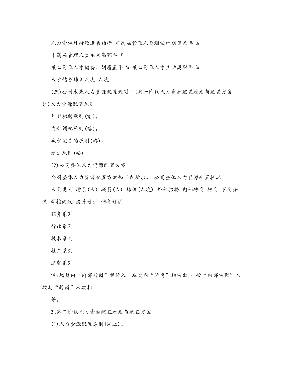 人力资源战略规划书_第2页