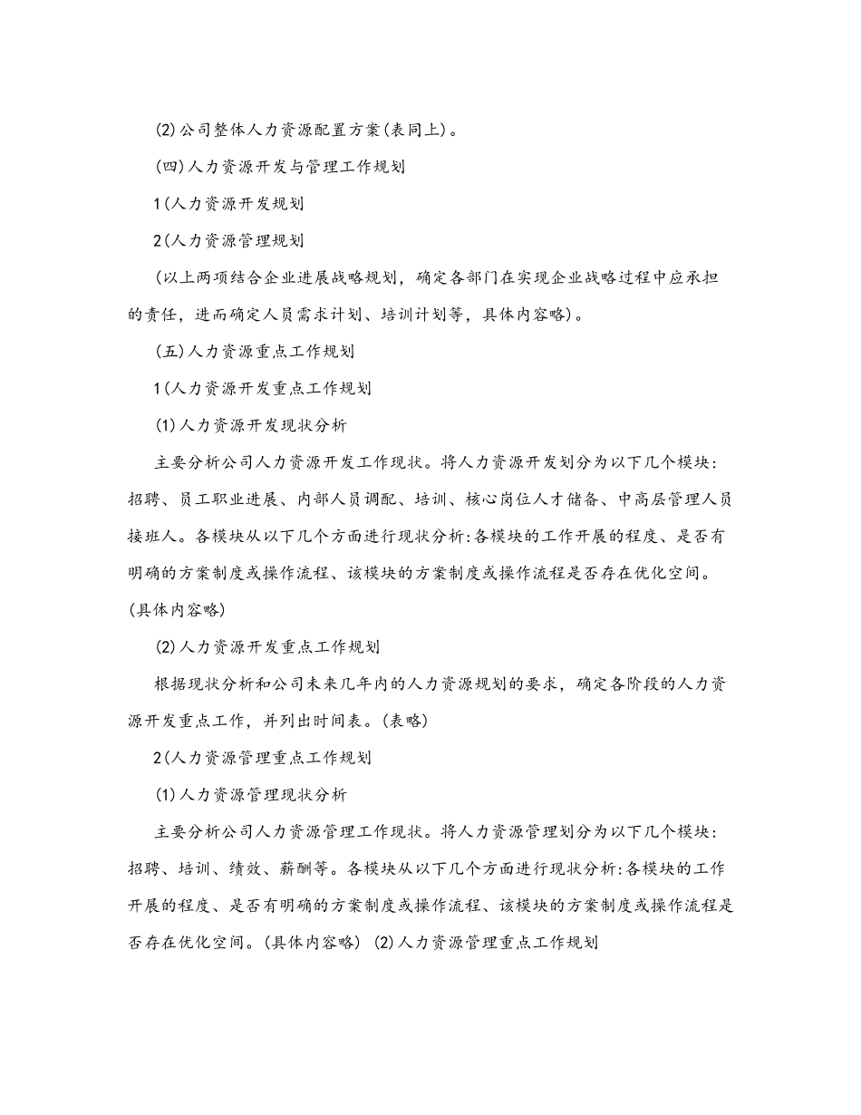 人力资源战略规划书_第3页