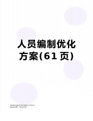 人员编制优化方案