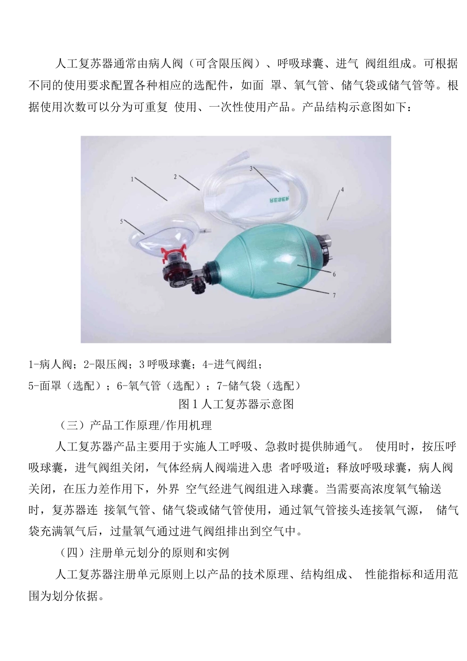人工复苏器注册技术审查指导原则_第2页
