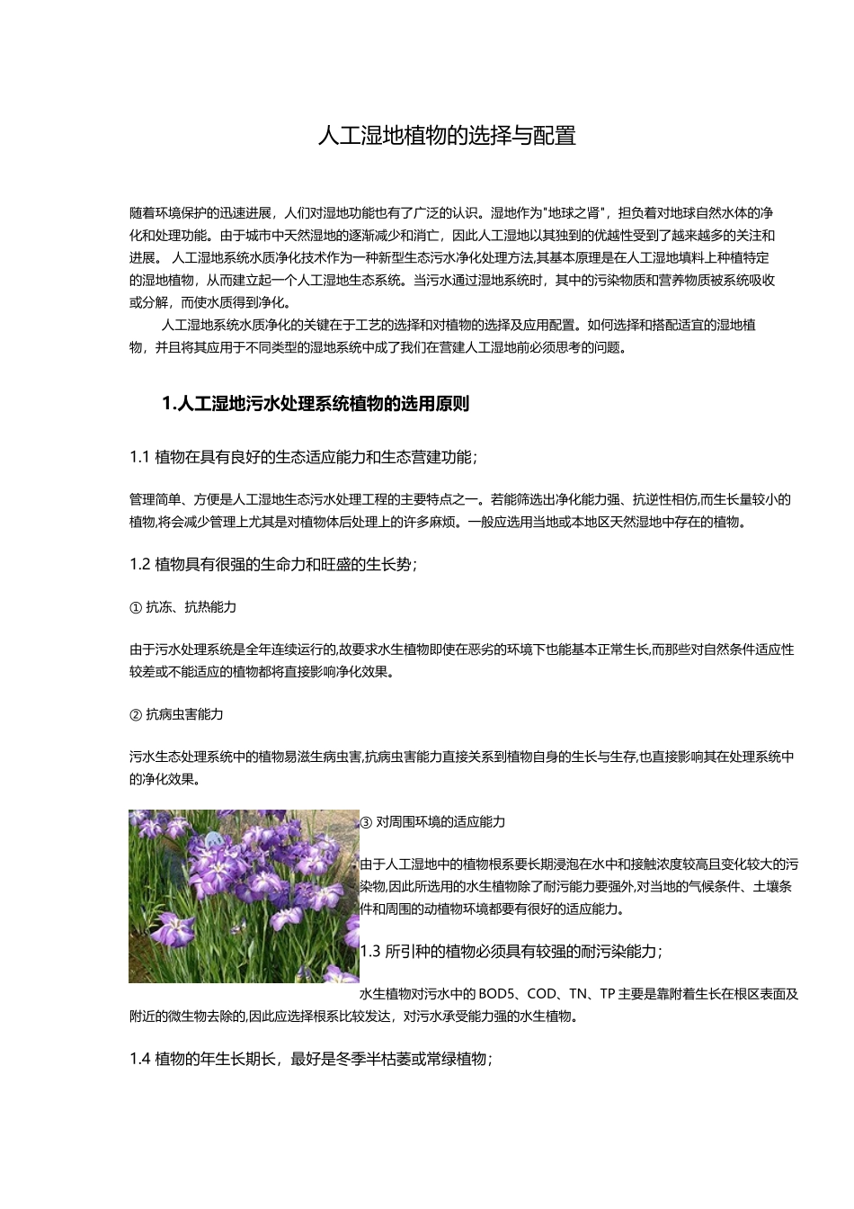 人工湿地植物的选择与配置_第2页