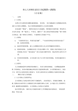 人才梯队建设方案