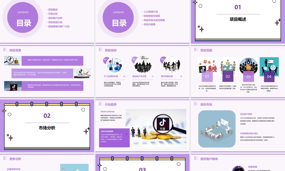 抖音代运营项目商业计划书方案