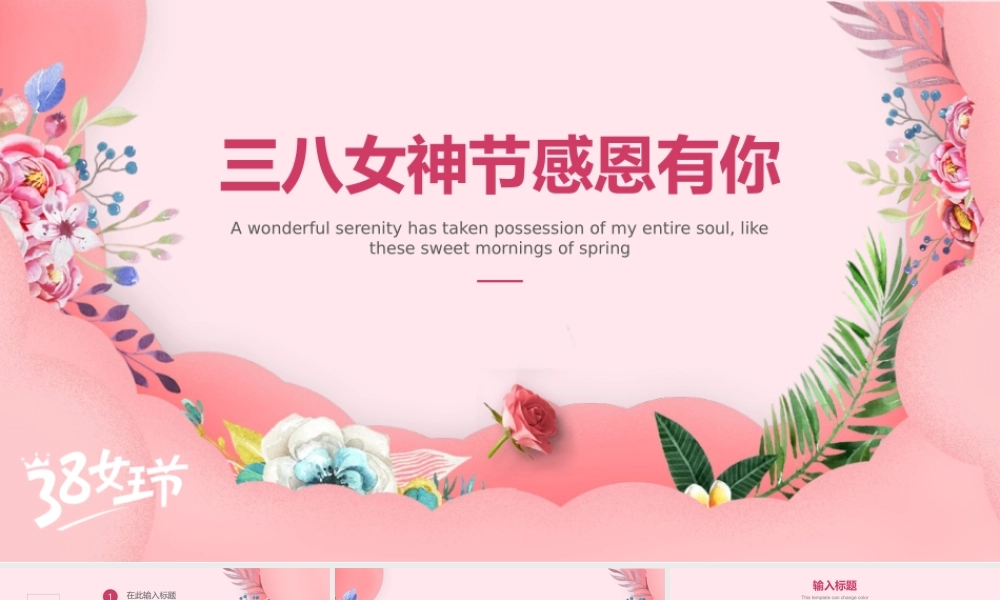 三八女神节妇女节公主节活动策划流程通用