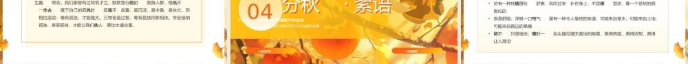 节气之秋分课件