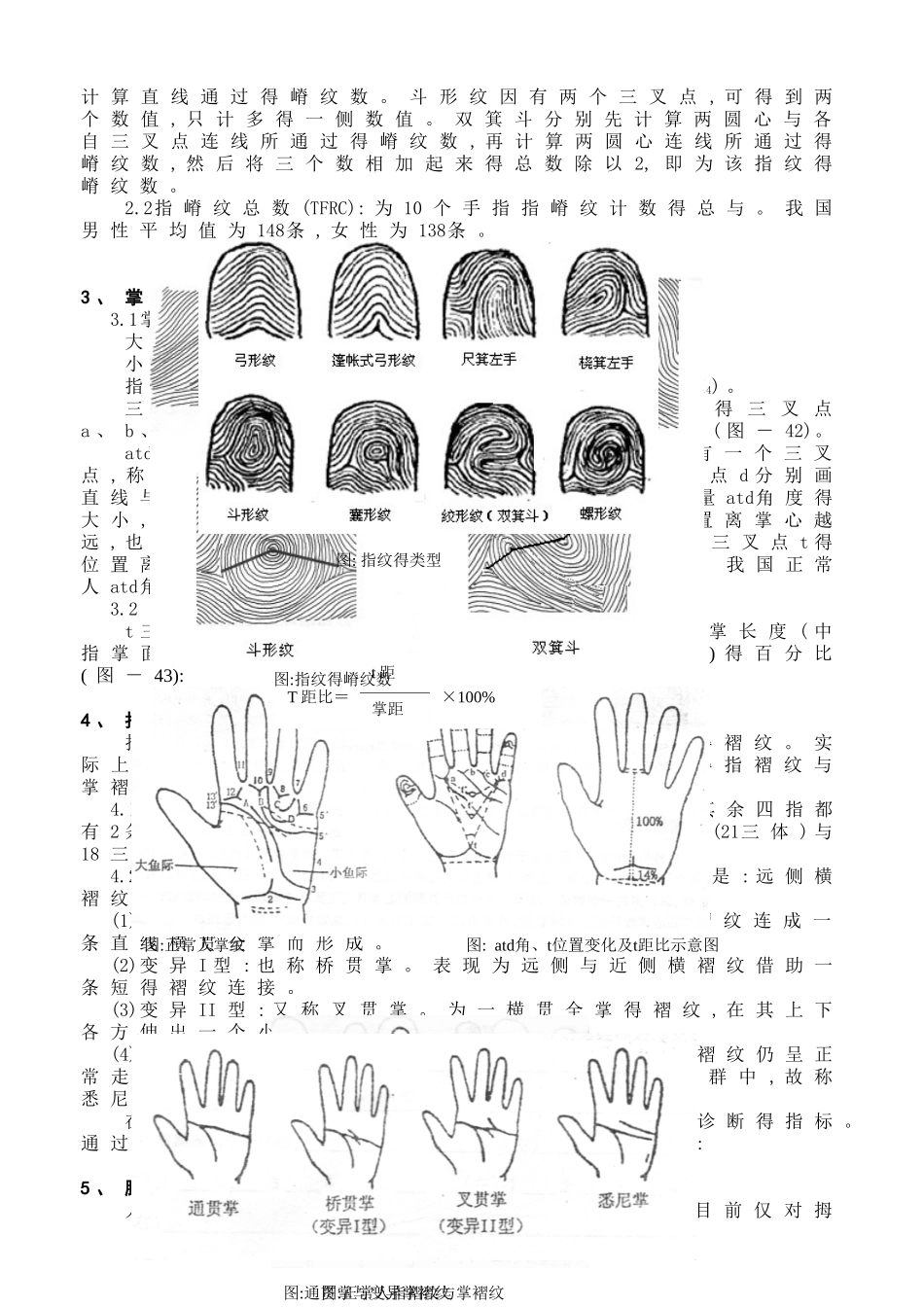 人类皮纹分析_第2页