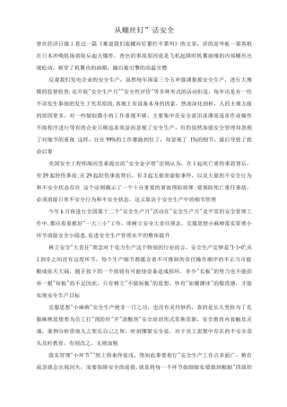 从“螺丝钉”话安全