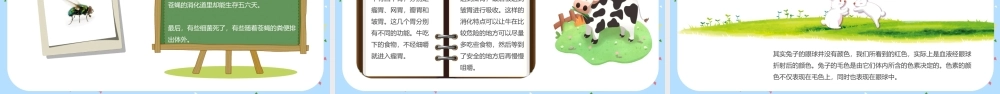 读书分享--十万个为什么