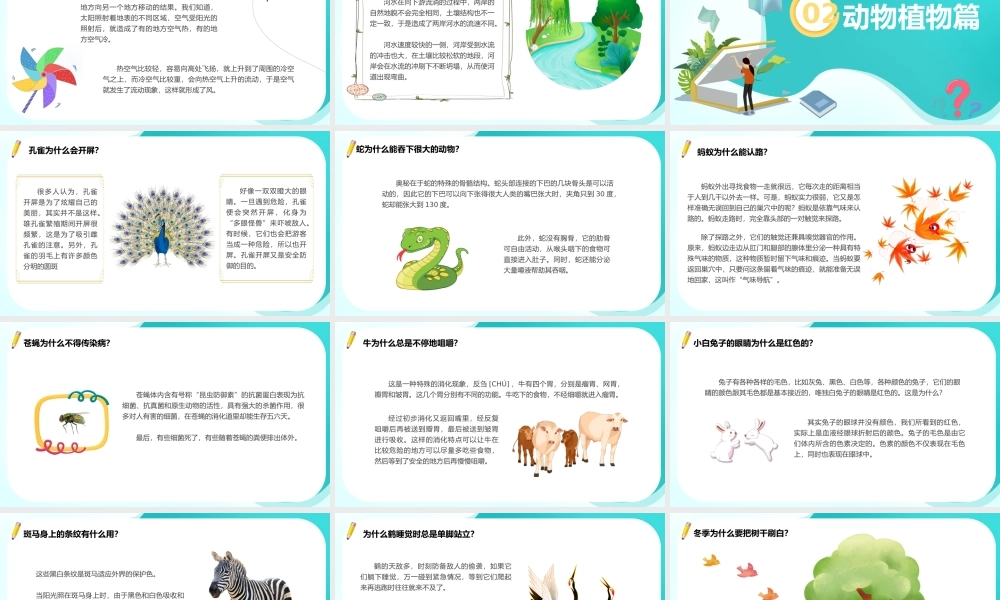 十万个为什么读书绘本