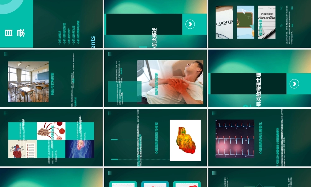 心肌炎讲课课件