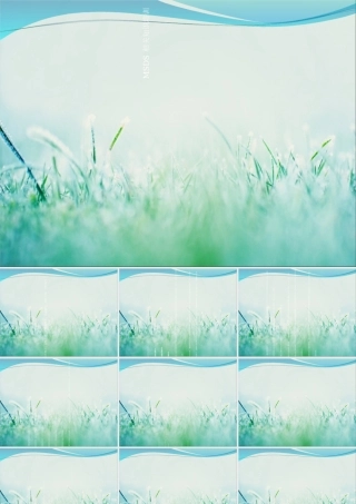 培训MSDS完整课件