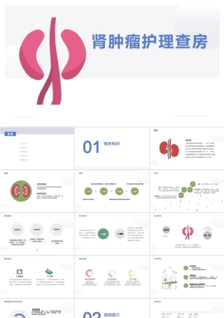 肾肿瘤护理查房综合新课件