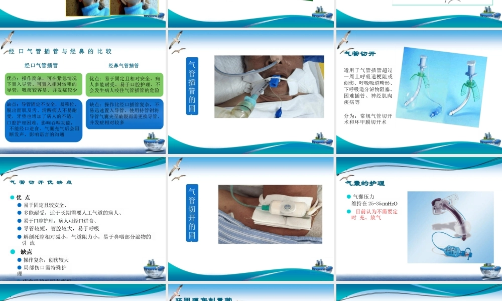 人工气道的建立和护理课件