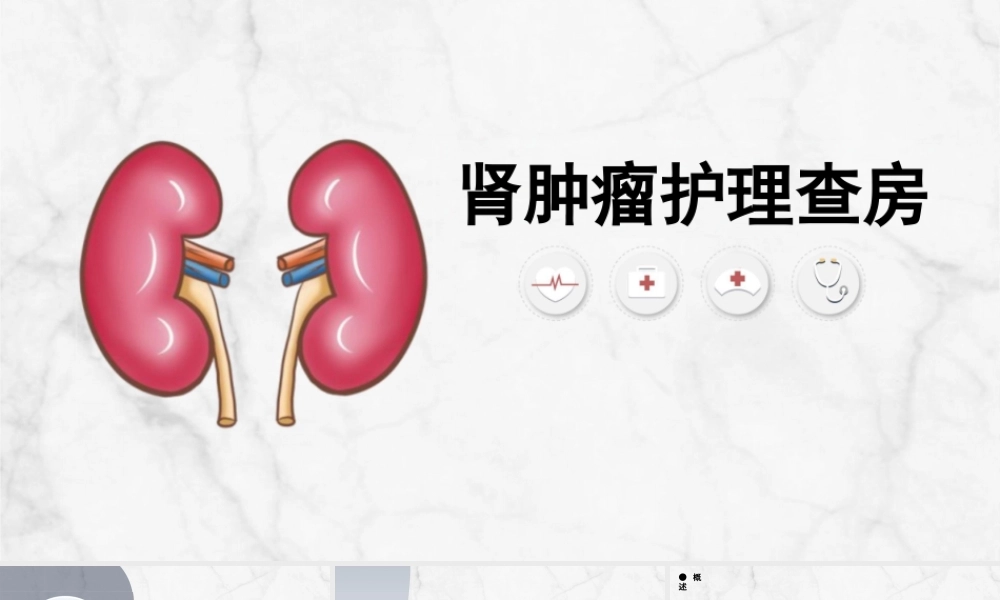 肾肿瘤护理查房