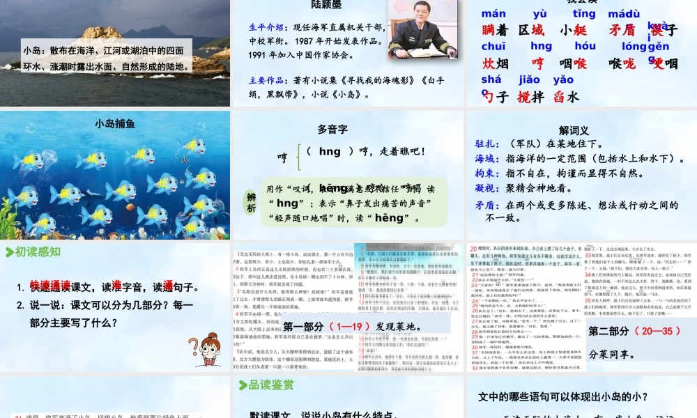 24人教统编版小学五年级语文上册第4单元15.小岛  课件