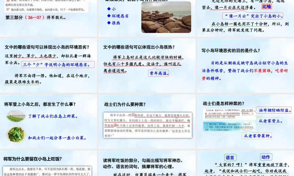 24人教统编版小学五年级语文上册第4单元15.小岛  课件