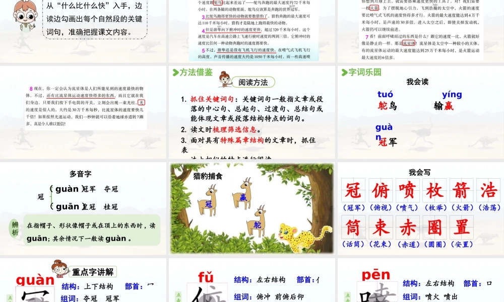 24人教统编版小学五年级语文上册第二单元7.什么比猎豹的速度更快第1课时  课件