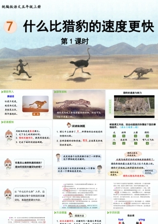 24人教统编版小学五年级语文上册第二单元7.什么比猎豹的速度更快第1课时  课件