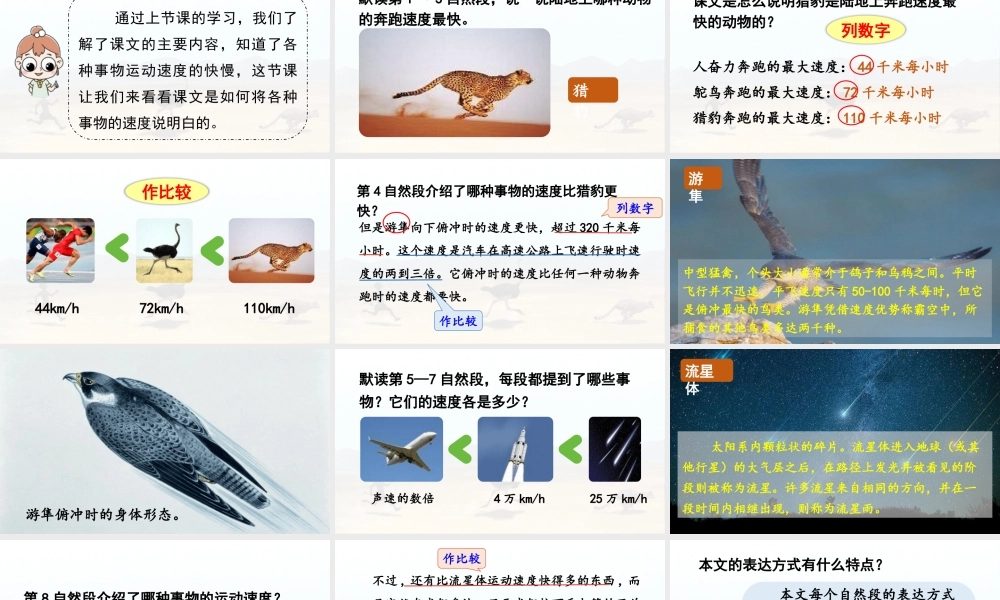 24人教统编版小学五年级语文上册第二单元7.什么比猎豹的速度更快第2课时  课件