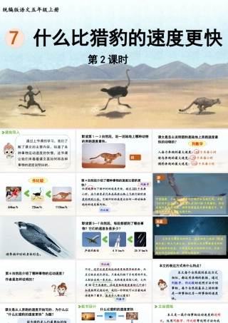 24人教统编版小学五年级语文上册第二单元7.什么比猎豹的速度更快第2课时  课件