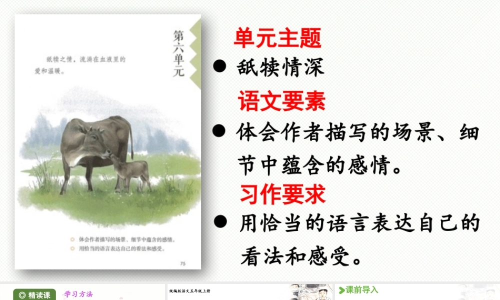 24人教统编版小学五年级语文上册第六单元18.慈母情深第1课时  课件