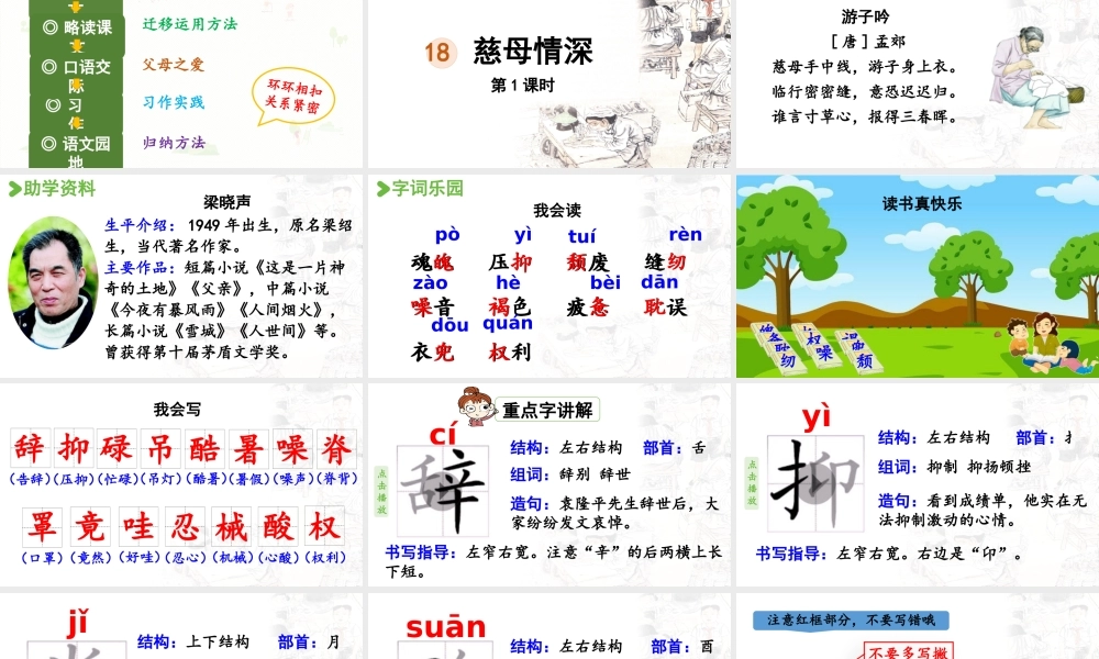 24人教统编版小学五年级语文上册第六单元18.慈母情深第1课时  课件