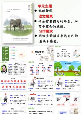 24人教统编版小学五年级语文上册第六单元18.慈母情深第1课时  课件